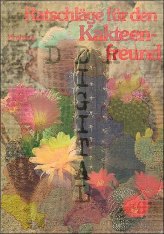 Ratschläge für den Kakteenfreund