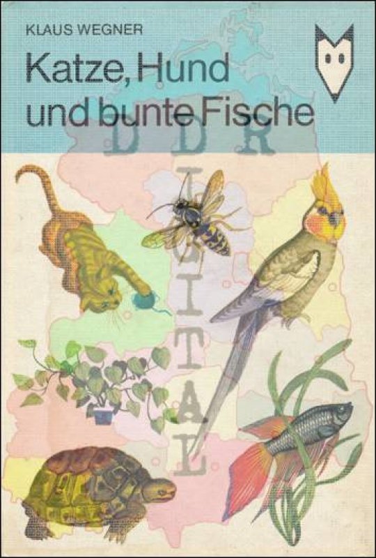 Katze, Hund und bunte Fische
