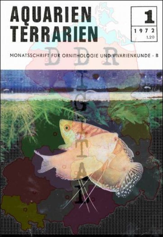Aquarien Terrarien 1972/01
