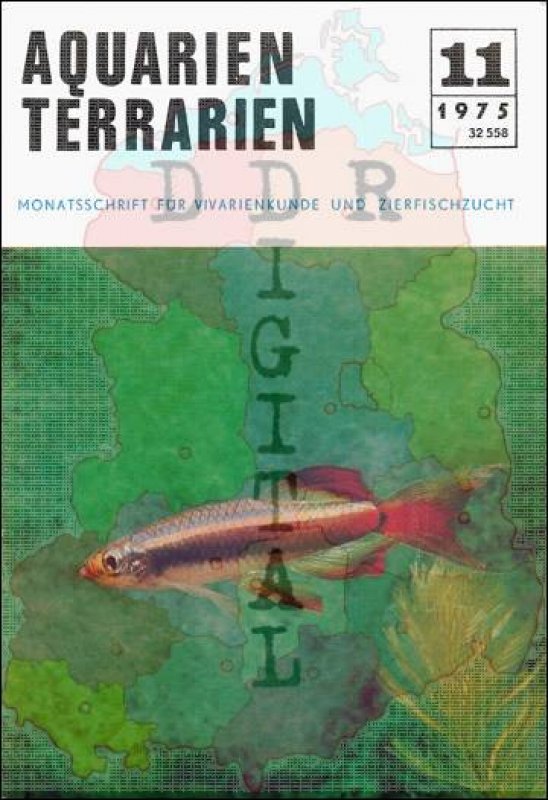 Aquarien Terrarien 1975/11