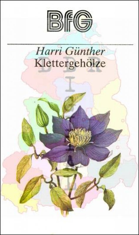Klettergehölze