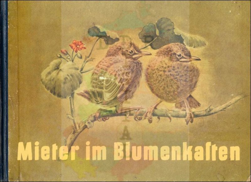 Mieter im Blumenkasten